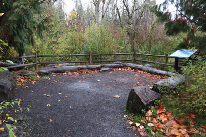 One of two overlooks on compacted gravel with railings and interpretive display – view of Mt Scott Creek